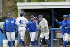 Baseball vs Babson  Wheaton College Baseball vs Babson during NEWMAC Championship Tournament. - (Photo by Keith Nordstrom) : Wheaton, baseball, NEWMAC